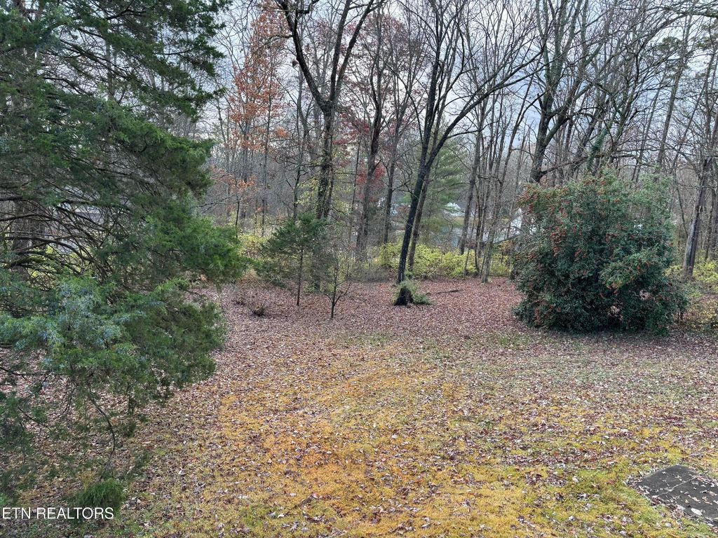 Photo of 4510 Barbara Drive, Knoxville, TN 37918 (MLS # 1325379)