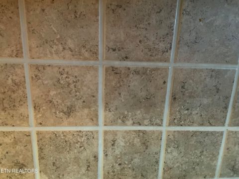 Tiny photo for 408 Waterside Circle #4, Andersonville, TN 37705 (MLS # 1329683)