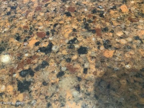 Tiny photo for 408 Waterside Circle #4, Andersonville, TN 37705 (MLS # 1329683)