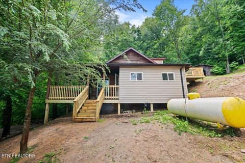Photo of 578 Fox Branch Rd, Clairfield, TN 37715 (MLS # 1342641)