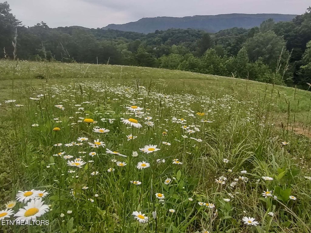 Photo of 1429 Dupont Rd, Seymour, TN 37865 (MLS # 1293013)