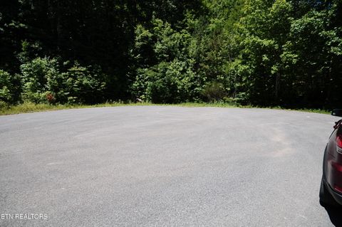 Wolfe Run Lane Caryville TN 37714