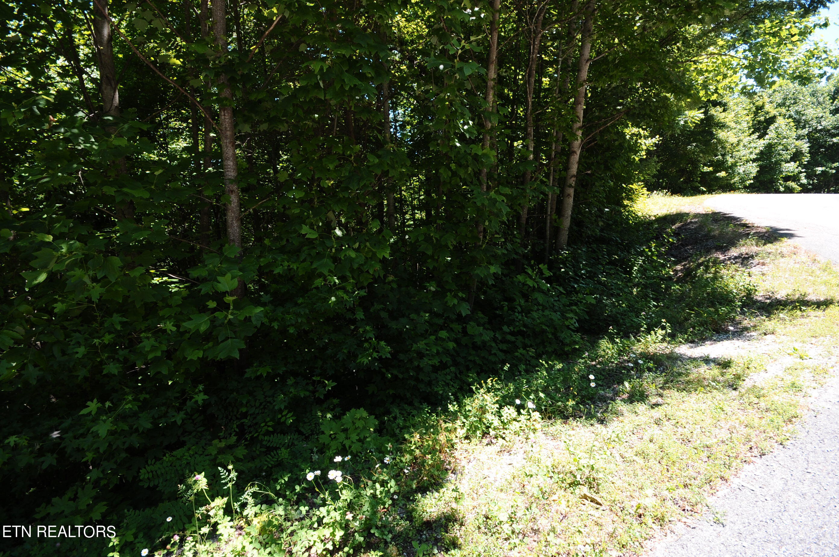 Wolfe Run Lane