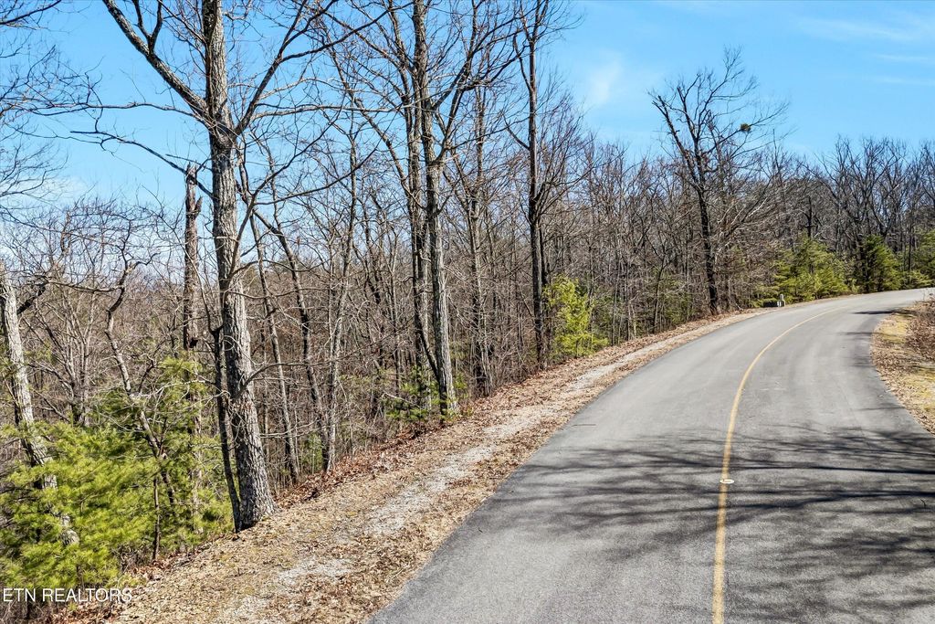 Photo of 43 Harvest Moon Rd, Sevierville, TN 37862 (MLS # 1293335)