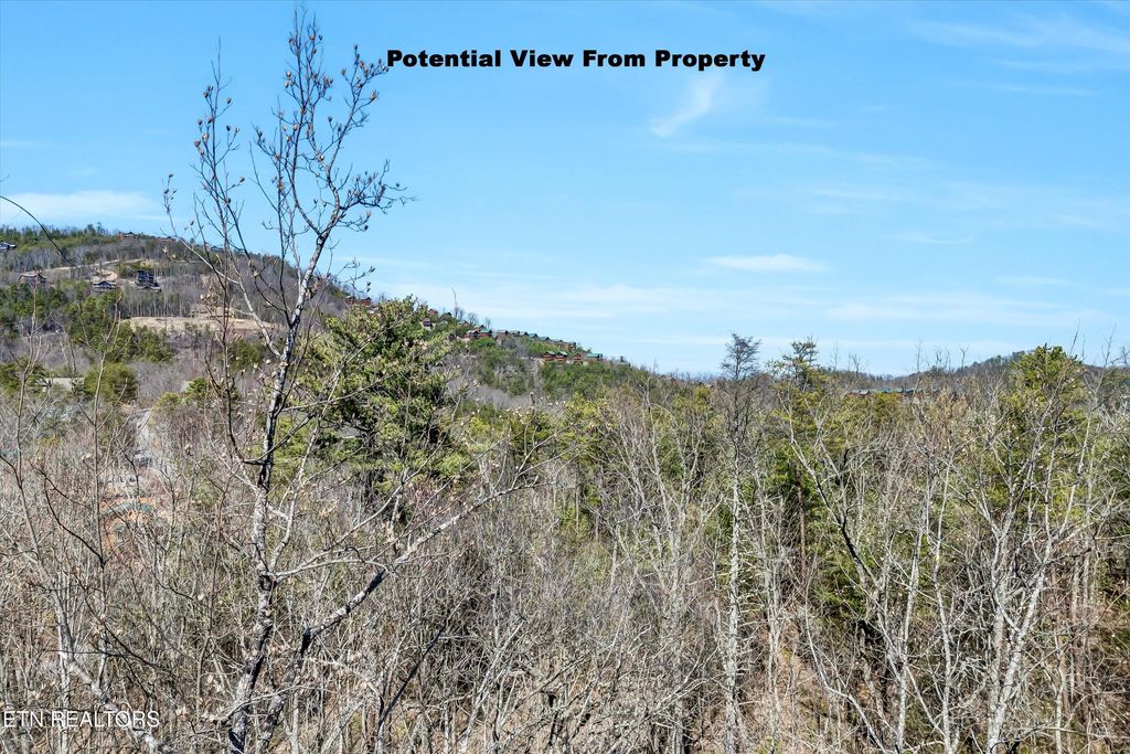 Photo of 43 Harvest Moon Rd, Sevierville, TN 37862 (MLS # 1293335)