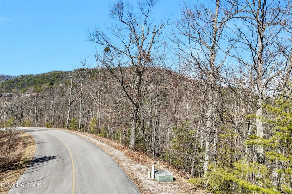 Photo of 43 Harvest Moon Rd, Sevierville, TN 37862 (MLS # 1293335)