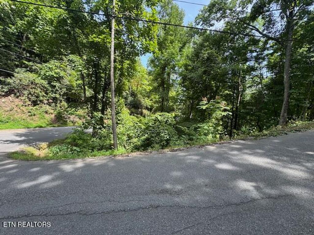 Photo of 76 Luzerne Drive, Gatlinburg, TN 37738 (MLS # 1316835)