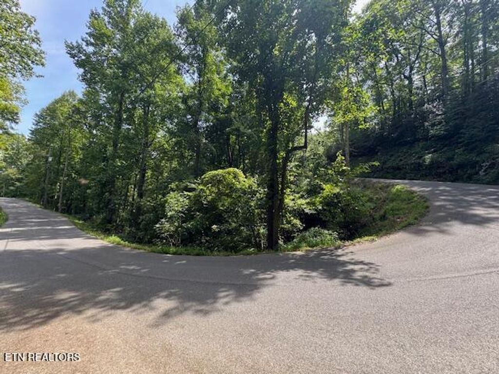 Photo of 76 Luzerne Drive, Gatlinburg, TN 37738 (MLS # 1316835)