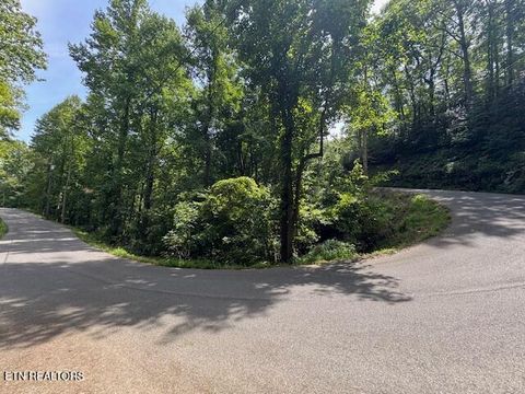Photo of 76 Luzerne Drive, Gatlinburg, TN 37738 (MLS # 1316835)
