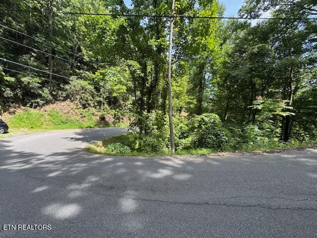 Photo of 76 Luzerne Drive, Gatlinburg, TN 37738 (MLS # 1316835)