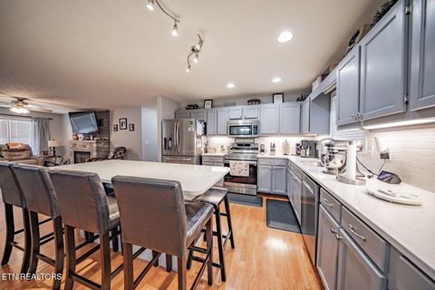 Tiny photo for 1114 Caleb Ln Ln, Newport, TN 37821 (MLS # 1318849)