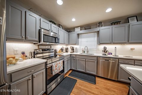 Tiny photo for 1114 Caleb Ln Ln, Newport, TN 37821 (MLS # 1318849)