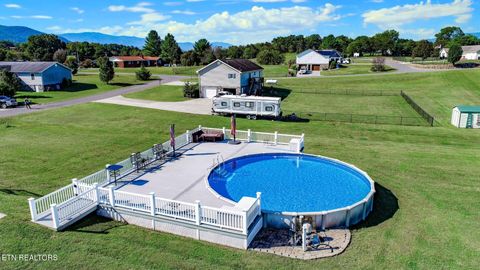 Tiny photo for 1114 Caleb Ln Ln, Newport, TN 37821 (MLS # 1318849)