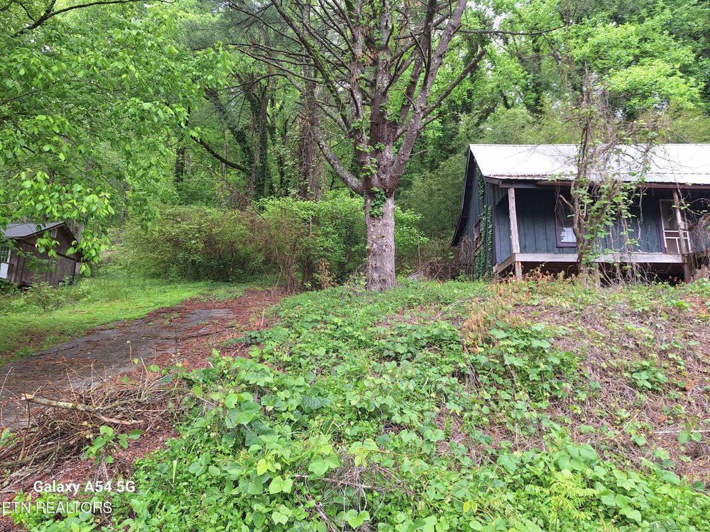 Photo of 5303 Dalton Lane, Walland, TN 37886 (MLS # 1261587)