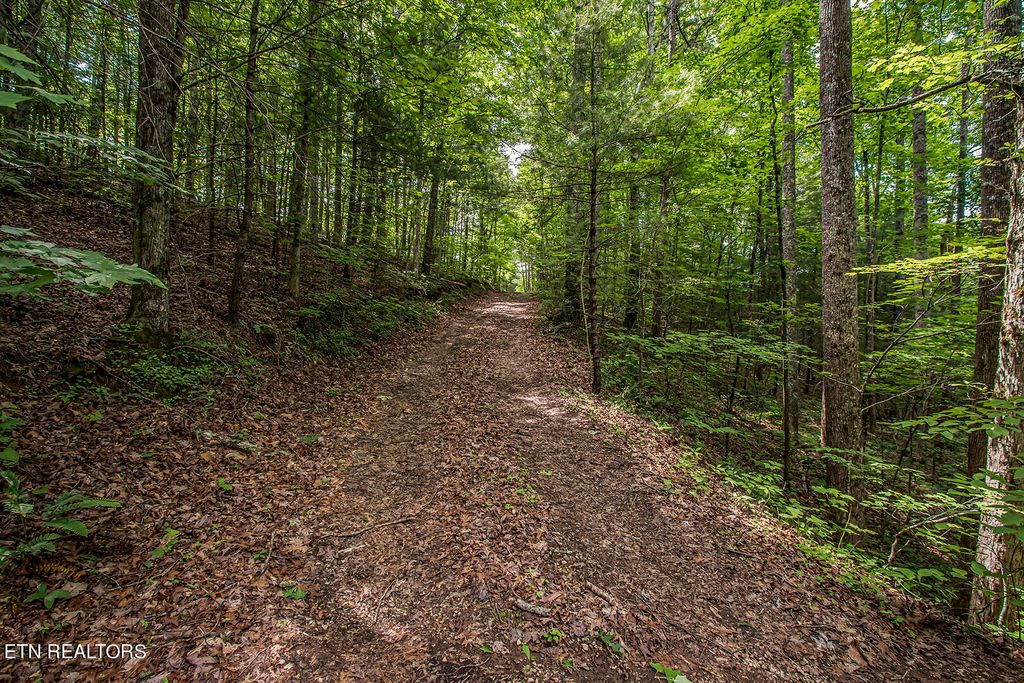Photo of 279 Fence Rail Gap Road Rd, Walland, TN 37886 (MLS # 1264770)