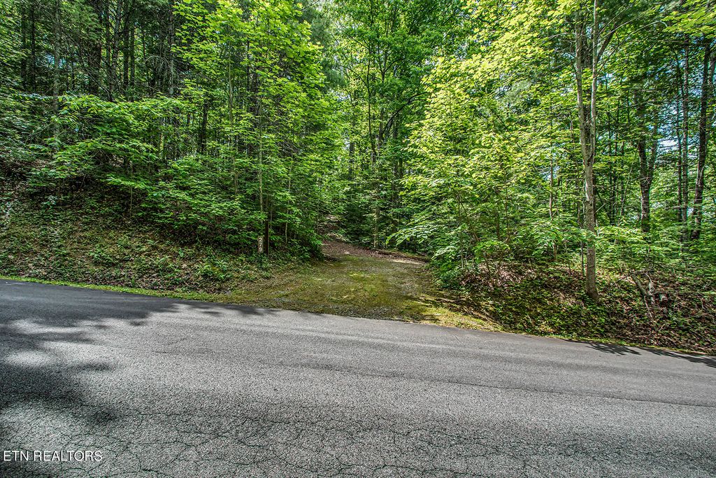 Photo of 279 Fence Rail Gap Road Rd, Walland, TN 37886 (MLS # 1264770)