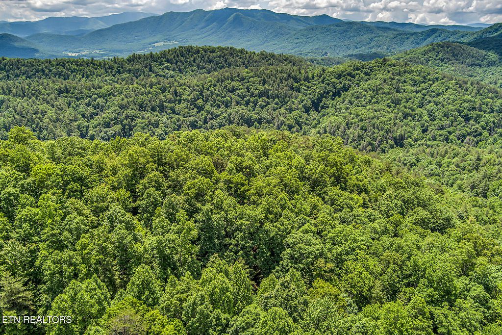 Photo of 279 Fence Rail Gap Road Rd, Walland, TN 37886 (MLS # 1264770)