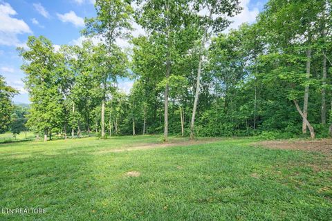 Tiny photo for 553 Hickory Pointe Lane, Maynardville, TN 37807 (MLS # 1332845)