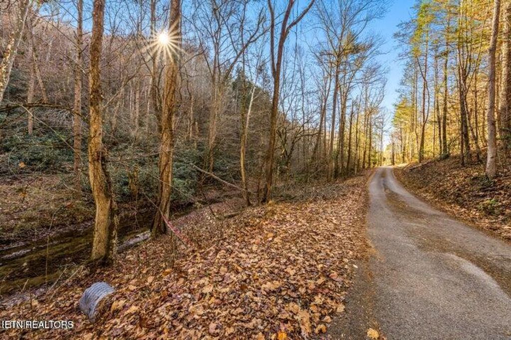 Photo of 17 Cool Creek Rd, Sevierville, TN 37876 (MLS # 1311156)