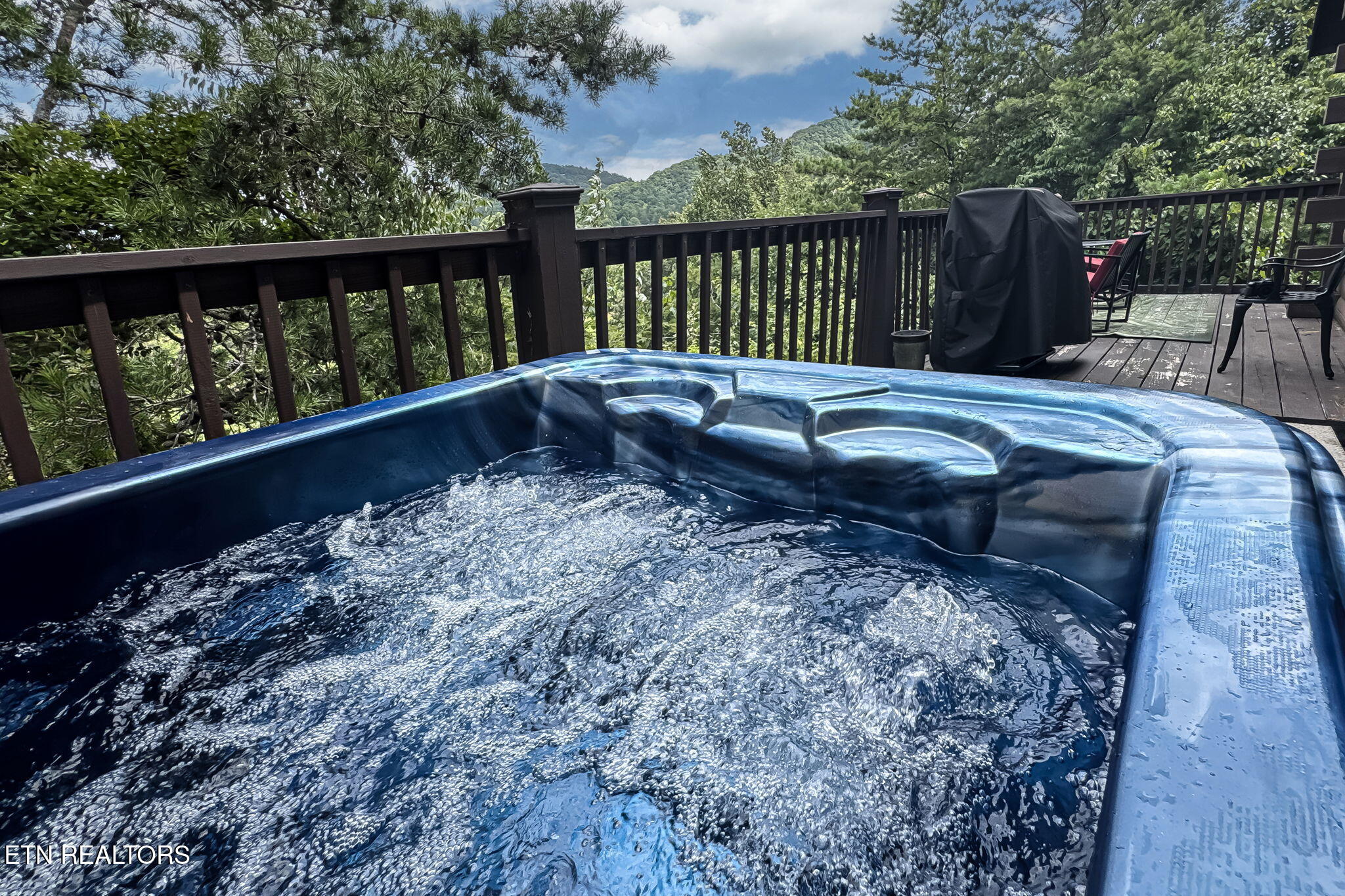 1482 Red Cedar Way Lane