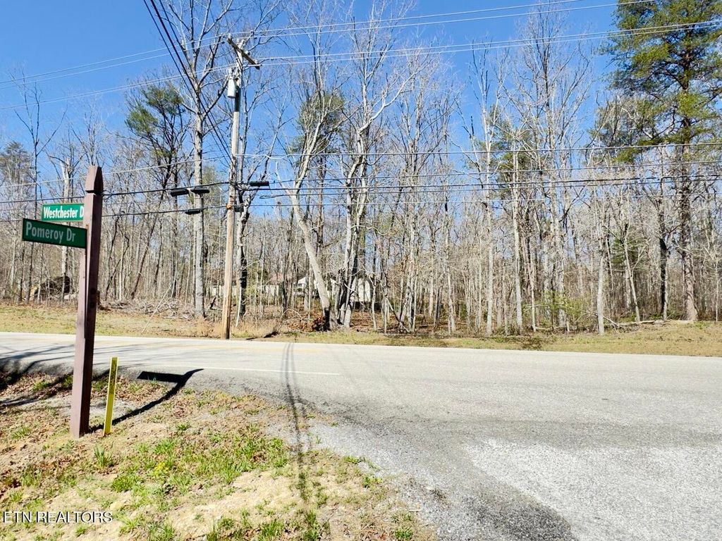 Photo of 322 Westchester Drive, Crossville, TN 38558 (MLS # 1335050)