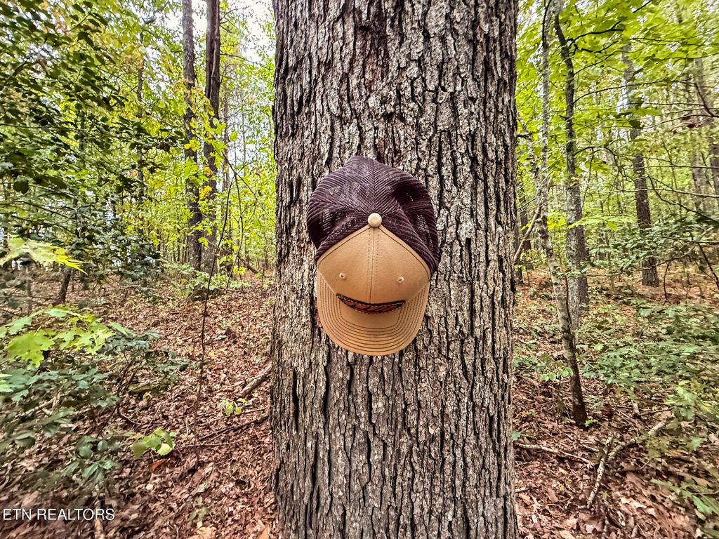 Photo of Lot 1 Airport Rd, Rockwood, TN 37854 (MLS # 1310472)