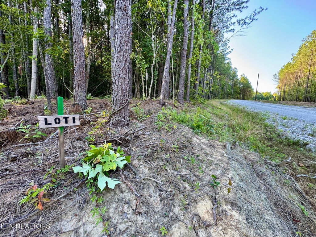 Photo of Lot 1 Airport Rd, Rockwood, TN 37854 (MLS # 1310472)