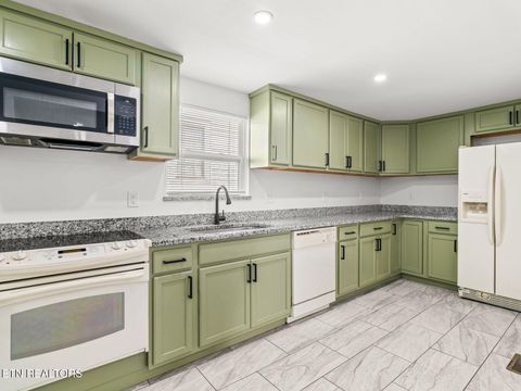 Tiny photo for 204 E Caldwell Ave, Knoxville, TN 37917 (MLS # 1330689)