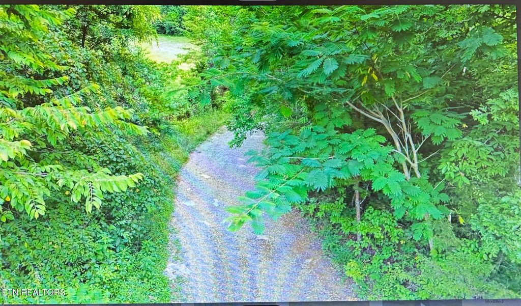 Photo of 225 Three Point Rd, Vonore, TN 37885 (MLS # 1271701)