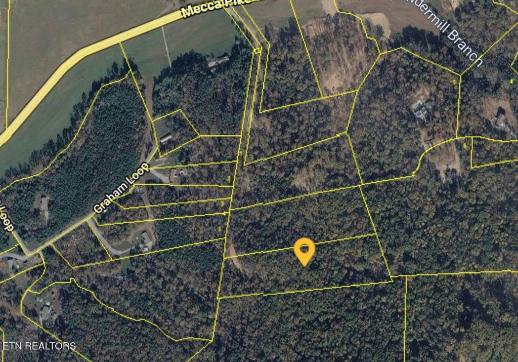 Photo of 1 Mecca Pike, Tellico Plains, TN 37385 (MLS # 1331960)