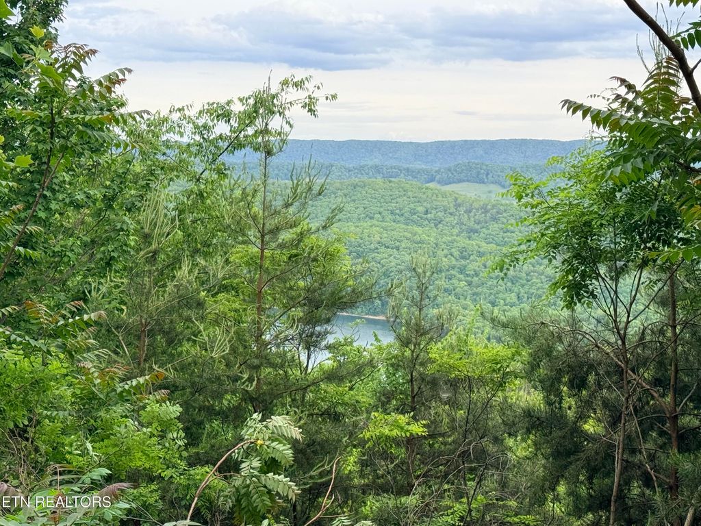 Photo of 211 Blackstone Lane #Lot 681R, New Tazewell, TN 37825 (MLS # 1339308)