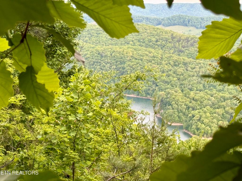 Photo of 211 Blackstone Lane #Lot 681R, New Tazewell, TN 37825 (MLS # 1339308)