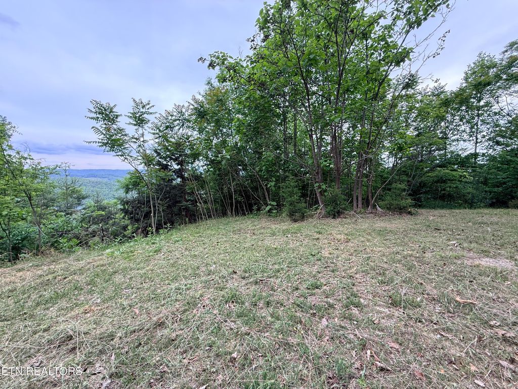 Photo of 211 Blackstone Lane #Lot 681R, New Tazewell, TN 37825 (MLS # 1339308)