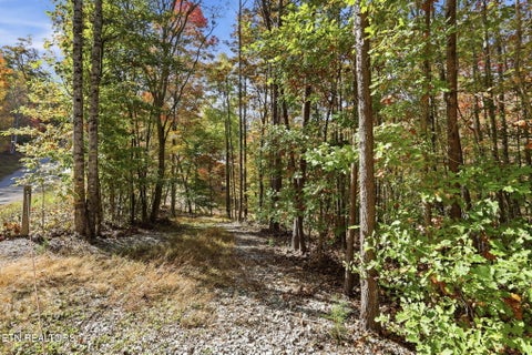 Tiny photo for 811 Big Creek Rd, LaFollette, TN 37766 (MLS # 1360189)