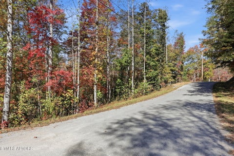 Tiny photo for 811 Big Creek Rd, LaFollette, TN 37766 (MLS # 1360189)