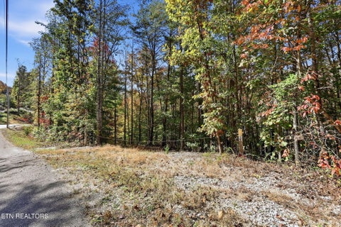 Tiny photo for 811 Big Creek Rd, LaFollette, TN 37766 (MLS # 1360189)