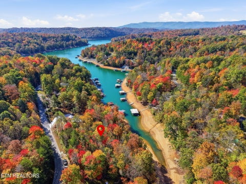 Tiny photo for 811 Big Creek Rd, LaFollette, TN 37766 (MLS # 1360189)