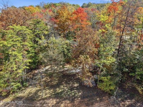 Tiny photo for 811 Big Creek Rd, LaFollette, TN 37766 (MLS # 1360189)