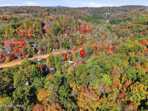 Tiny photo for 811 Big Creek Rd, LaFollette, TN 37766 (MLS # 1360189)