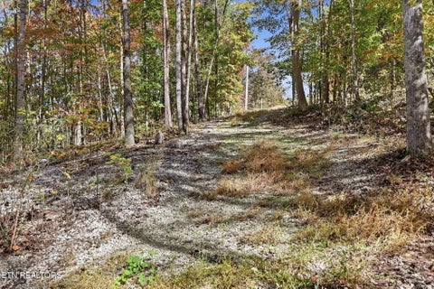 Tiny photo for 811 Big Creek Rd, LaFollette, TN 37766 (MLS # 1360189)