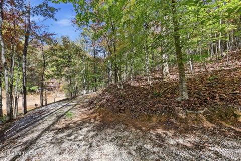 Tiny photo for 811 Big Creek Rd, LaFollette, TN 37766 (MLS # 1360189)