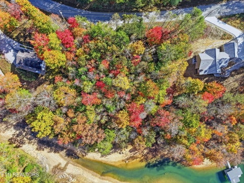 Tiny photo for 811 Big Creek Rd, LaFollette, TN 37766 (MLS # 1360189)