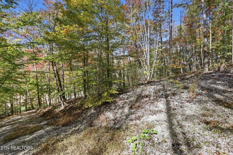 Tiny photo for 811 Big Creek Rd, LaFollette, TN 37766 (MLS # 1360189)