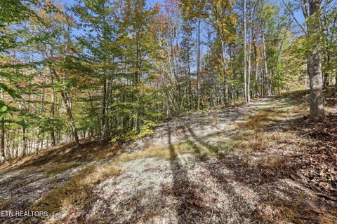 Tiny photo for 811 Big Creek Rd, LaFollette, TN 37766 (MLS # 1360189)