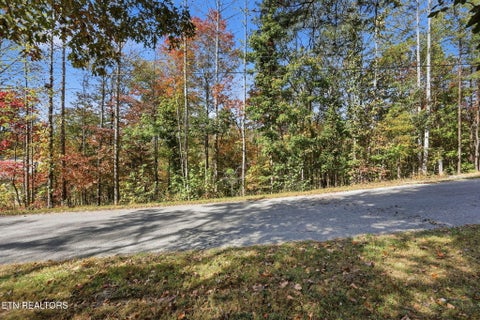 Tiny photo for 811 Big Creek Rd, LaFollette, TN 37766 (MLS # 1360189)