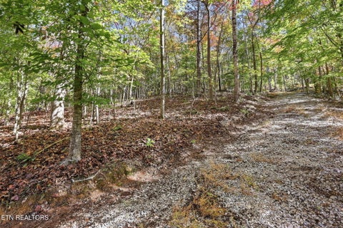 Tiny photo for 811 Big Creek Rd, LaFollette, TN 37766 (MLS # 1360189)