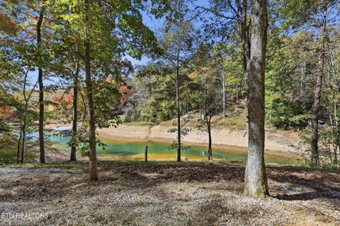 Photo of 811 Big Creek Rd, LaFollette, TN 37766 (MLS # 1360189)