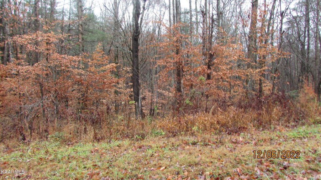 Photo of Patton Rd Lot 4, Wartburg, TN 37887 (MLS # 1213405)