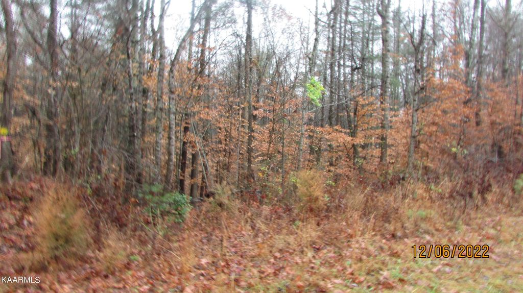 Photo of Patton Rd Lot 4, Wartburg, TN 37887 (MLS # 1213405)