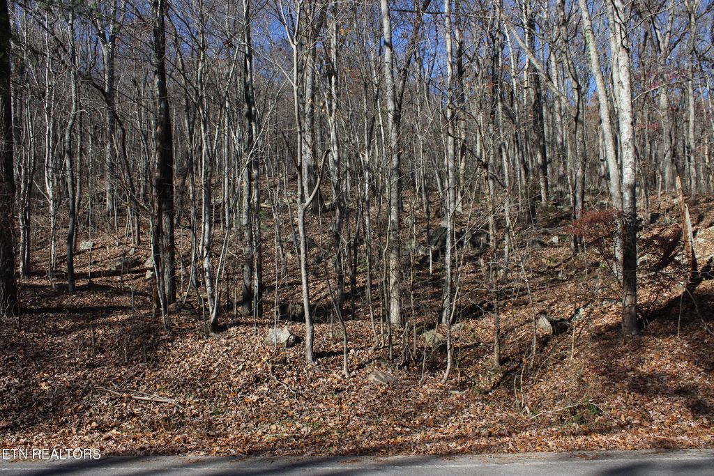 Photo of Scenic Dr, Lot 20, Harriman, TN 37748 (MLS # 1284294)